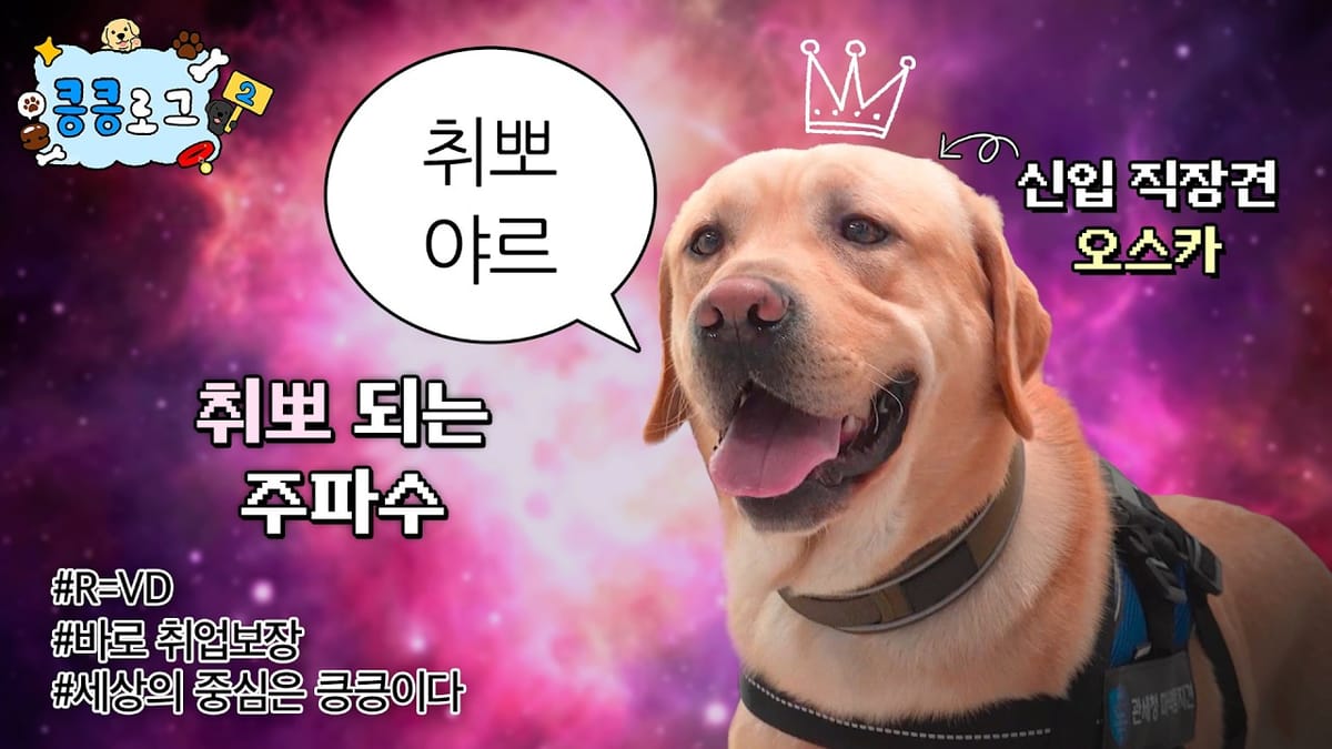 [무첨가 지수] '진짜 이슈'가 성공의 열쇠라고?
