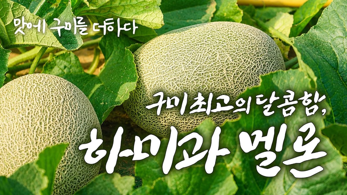 [지자체] 물량은 최다, 도달은 최저… 확대된 격차
