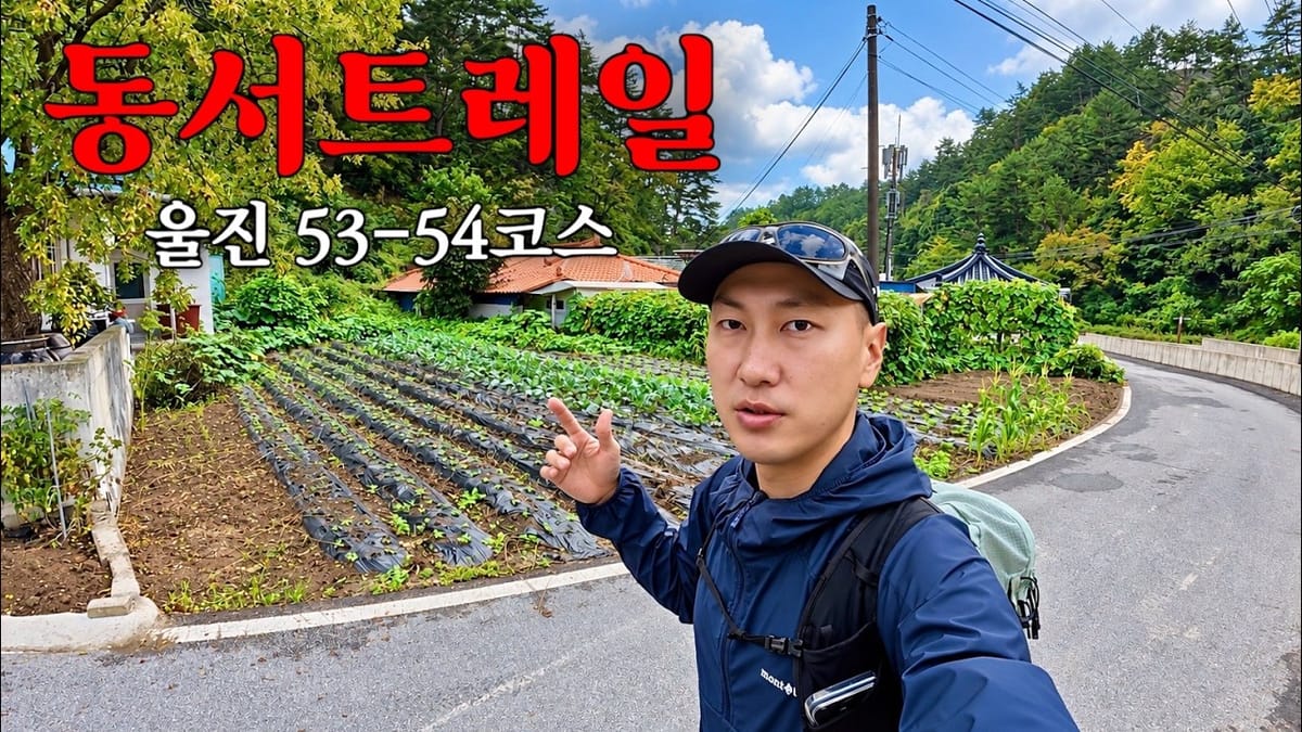[광역] 조회 1위는 부산 '부캉이', 경북은 여행 유튜버 '차박차박'과 함께!
