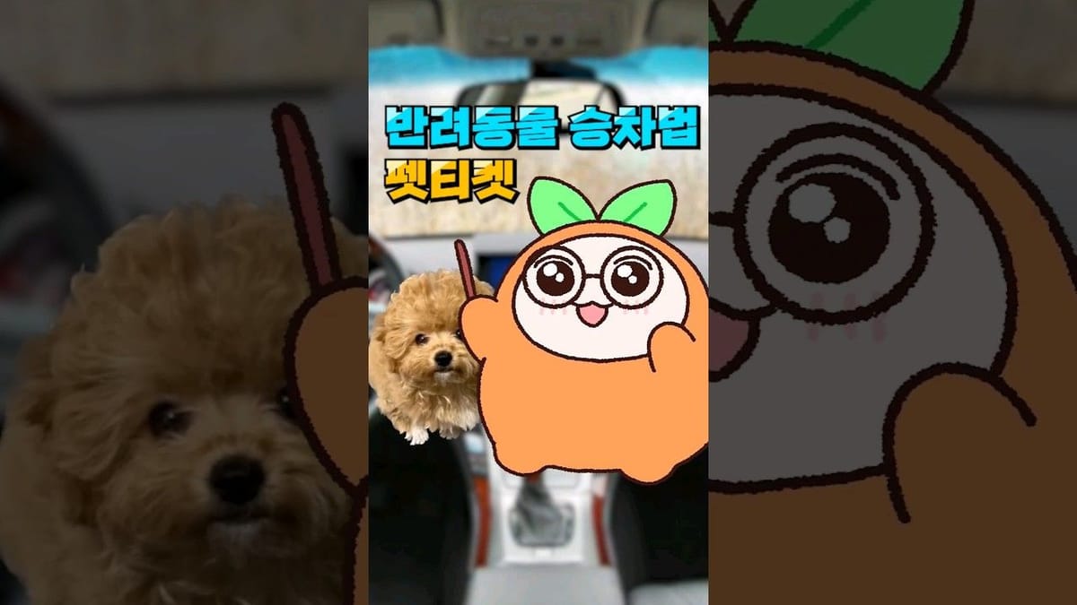 쇼츠 ㅣ 일반영상에도 없는 30만 조회수 영상이 무려 5건이나?