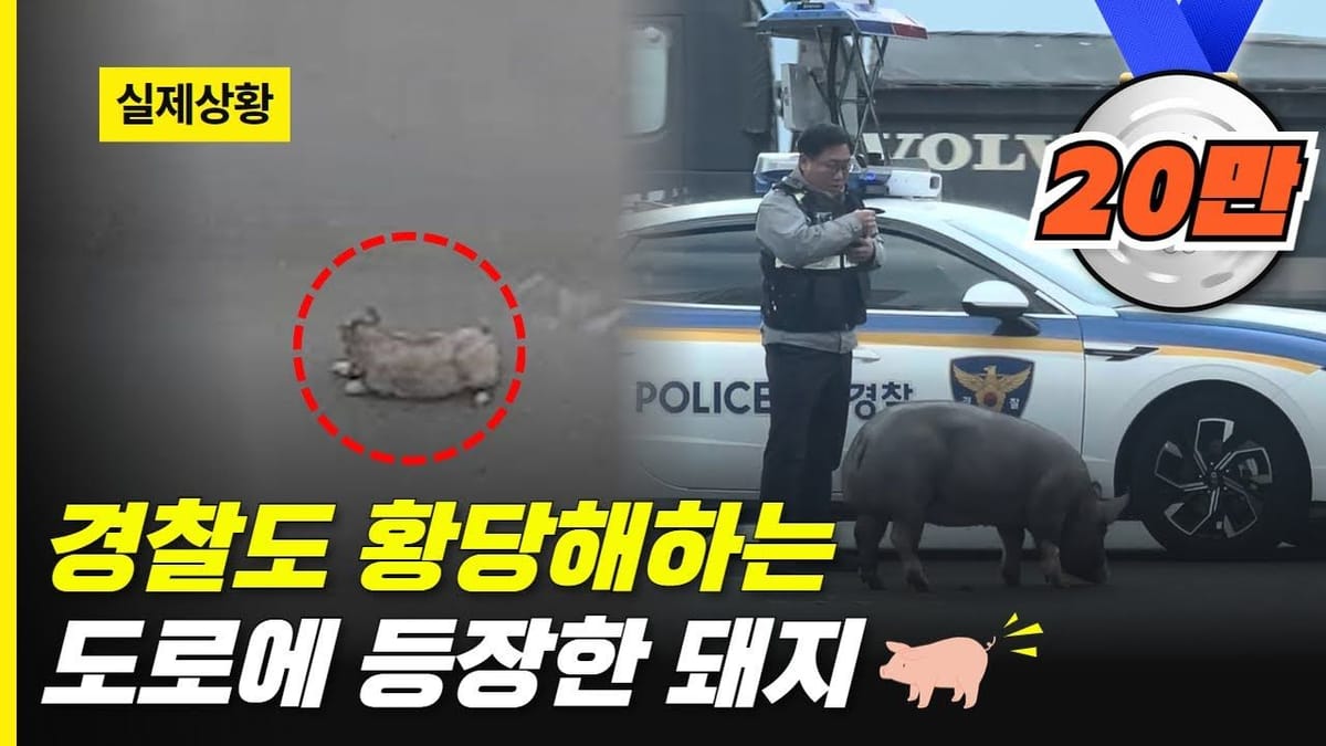 상세 분석 ㅣ 경찰청이 또? 수치 성과 좋은 이유는?