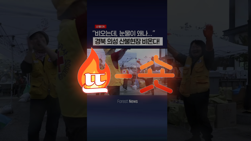 🔥뜨숏 ㅣ 의성산불에 국민의 관심이 쏠렸다