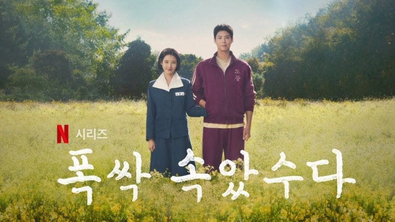 칼럼ㅣ '폭싹 속았수다'는 어떻게 대중의 마음을 훔쳤나?