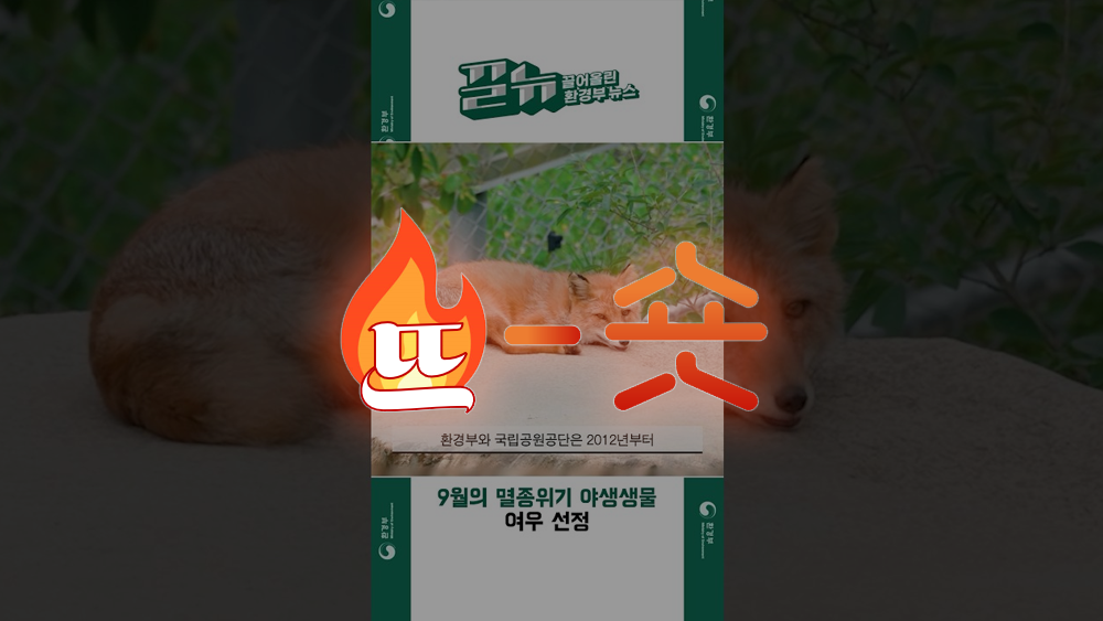 🔥뜨숏 ㅣ 경찰청 쇼츠영상의 활약이 유난히 돋보인 이번 주!