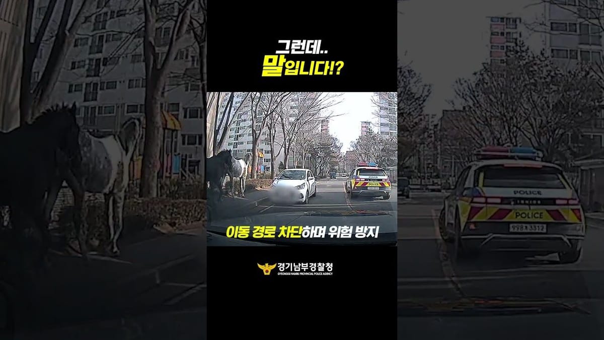 중앙 ㅣ 그런데 말입니다... 진짜 말이 등장했다?
