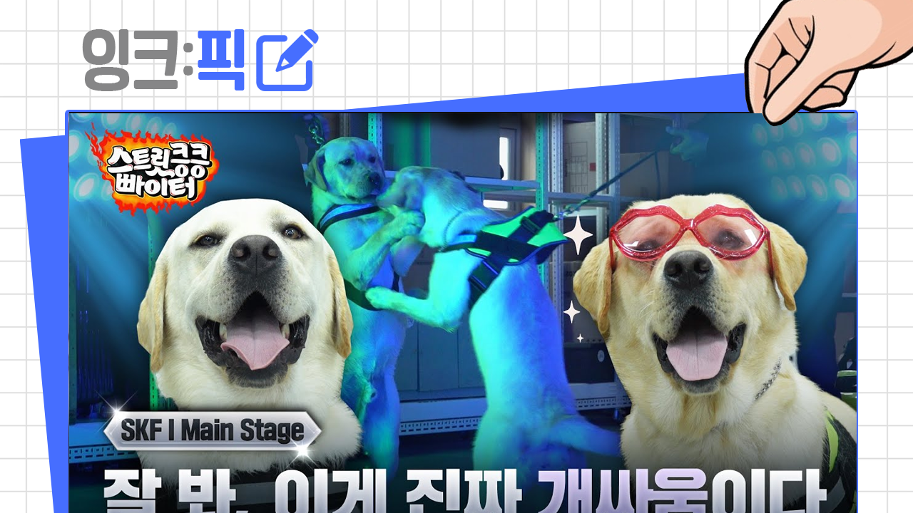 잉크픽 ㅣ 관세청 탐지견은 '오리지널 콘텐츠'가 될 수 있을까?