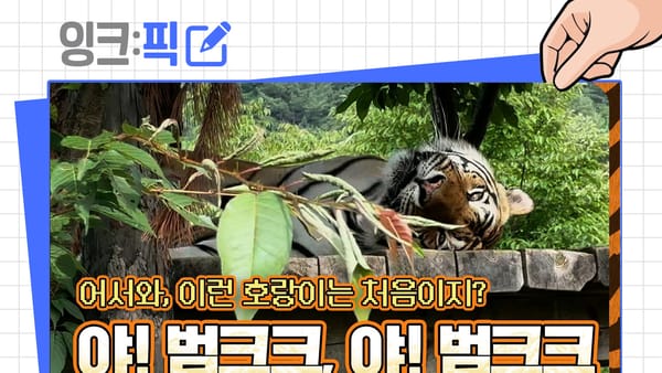 [잉크픽] 3주째 같은 자리에 있는 호랑이, 그리고 회의실을 그대로 내보낸 시장