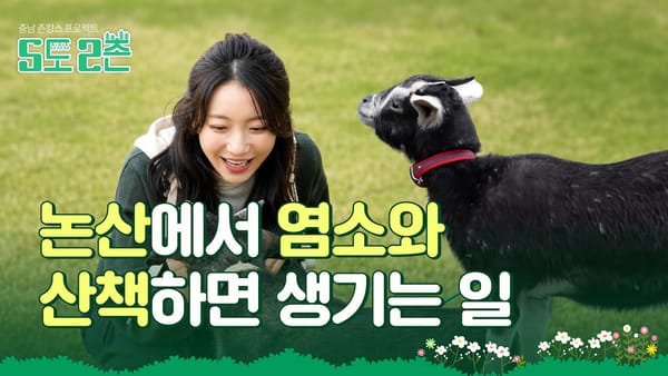 [무첨가지수] 이벤트도 라이브도 걷어내니, 충청남도와 산림청이 남았다