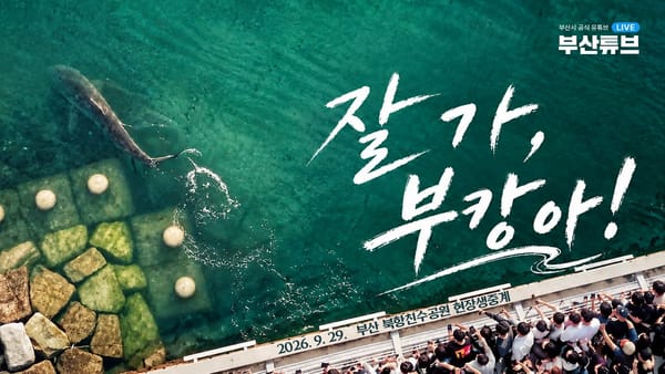 [지방] 인천 한 편이 조회 39%를! 축제 생중계가 나머지를 채웠어요