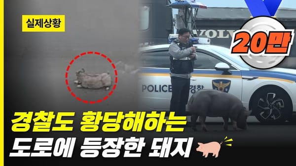 상세 분석 ㅣ 경찰청이 또? 수치 성과 좋은 이유는?