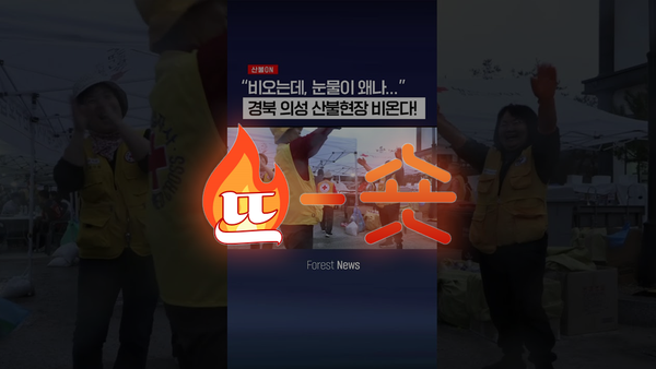 🔥뜨숏 ㅣ 의성산불에 국민의 관심이 쏠렸다