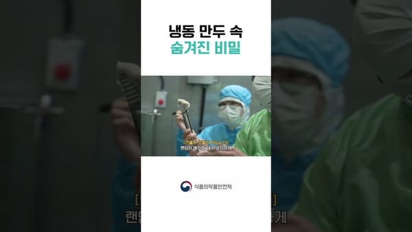 상세 분석 ㅣ 댓글 없는 영상이 무려 53%? 유난히 댓글 수가 적은 이유는?