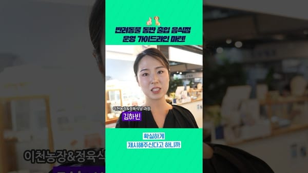조회수 ㅣ 일반영상 보다 쇼츠영상에서 조회수 강세!