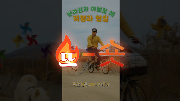 🔥뜨숏 ㅣ 협업 잘 한 농림부, 소재 잘 고른 해수부