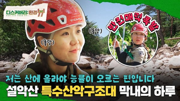 댓글 ㅣ 상위 10개 영상 중 2건만 이벤트 없이 댓글 확보!