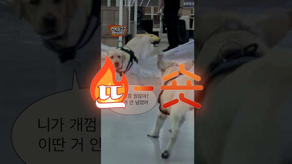 🔥뜨숏 ㅣ 빠니보틀 vs. 탐지견, 승자는?