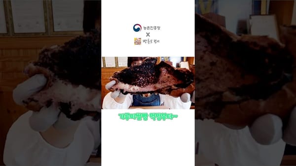 쇼츠 ㅣ 전반적으로 낮은 조회수...1만 회 넘는 영상이 없다?