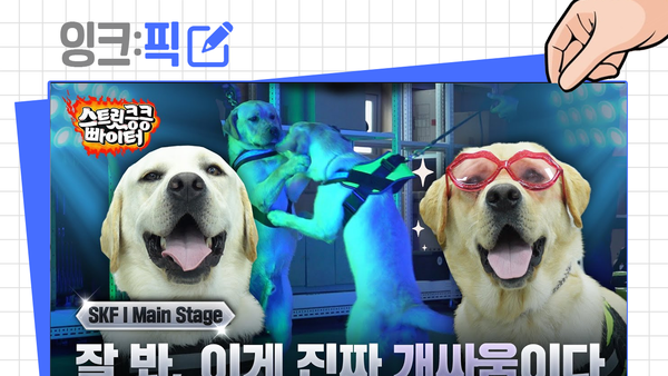 잉크픽 ㅣ 관세청 탐지견은 '오리지널 콘텐츠'가 될 수 있을까?
